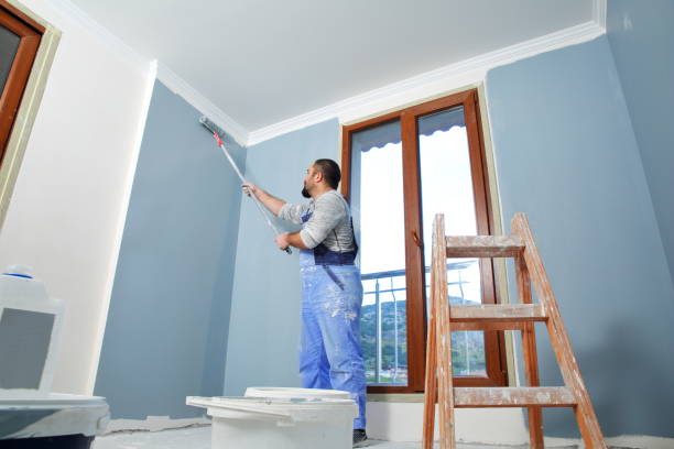 Best Black Mold Removal  in Gordo, AL