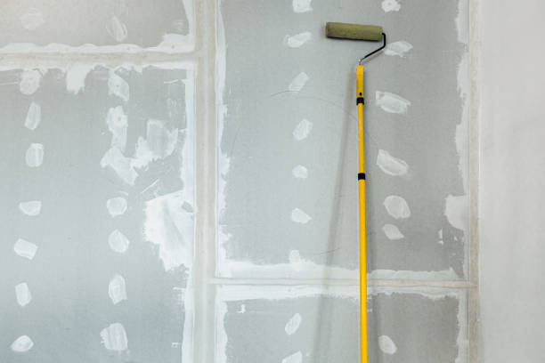 Professional Mold Removal in Gordo, AL