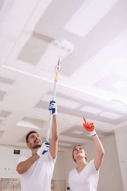 Best Biohazard Mold Removal  in Gordo, AL