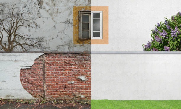 Best Attic Mold Removal  in Gordo, AL