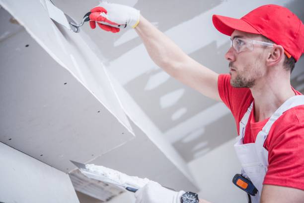 Best Crawl Space Mold Remediation  in Gordo, AL
